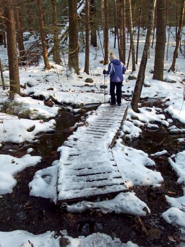 Ande on the trail in January at Pulpit Rock Conservation Area in New Hampshire