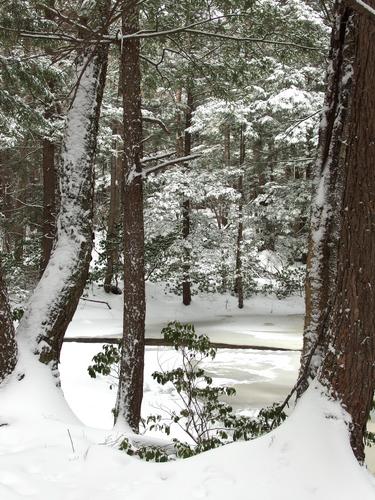 snowy framed view at Purgatory Falls Brook Preserve in southern New Hampshire
