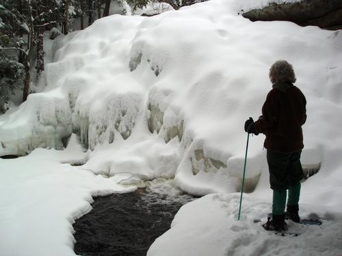 winter visitor at Lower Purgatory Falls in New Hampshire