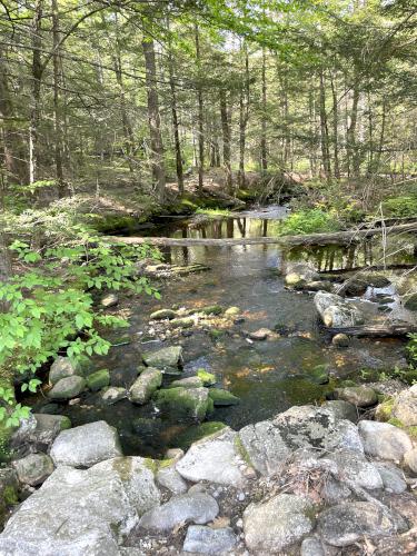 Purgatory Brook in June at Purgatory Hill in New southern Hampshire