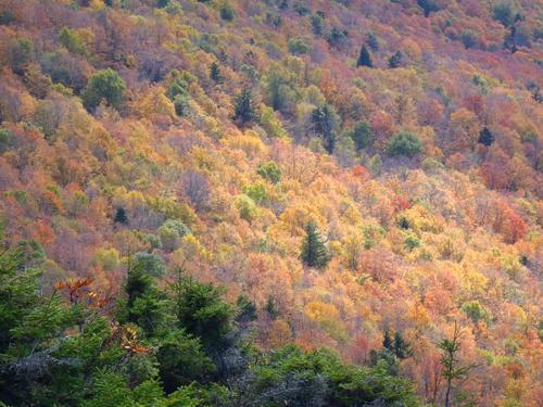 fall foliage as seen from Stowe Pinnacle in Vermont
