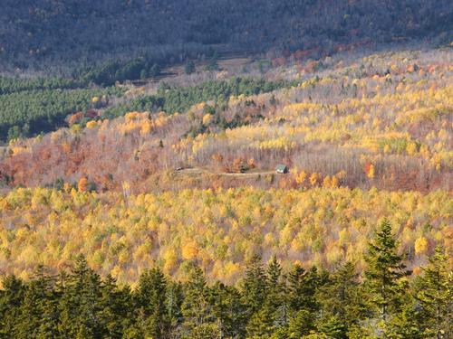 a little house snuggled amidst beautiful fall foliage as seen from Puzzle Mountain in western Maine