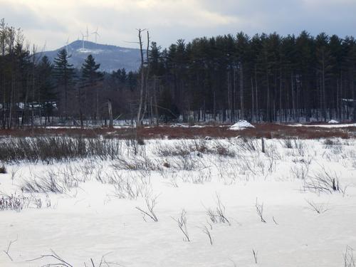 winter view of Quincy Bog in New Hamsphrie