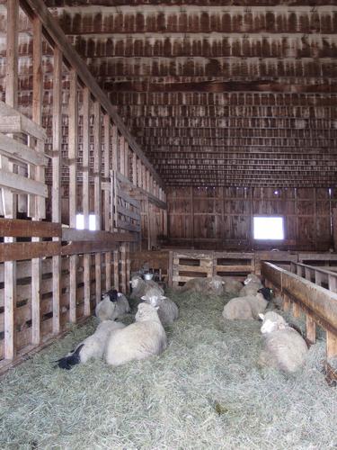 barn at Ramblin Vewe Farm in the Lakes Region of New Hampshire