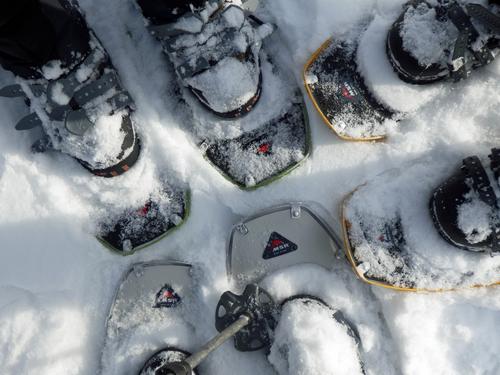 three pairs of snowshoes on Rattlesnake Mountain in New Hampshire