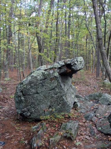 fine woods and interesting rock at the summit of Rattlesnake Hill in eastern Massachusetts