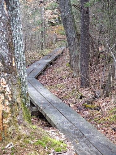 boardwalk on the Magnolia Swamp Trail at Ravenswood Park near Gloucester in Massachusetts