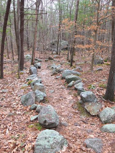 Ledge Hill Trail at Ravenswood Park near Gloucester in Massachusetts