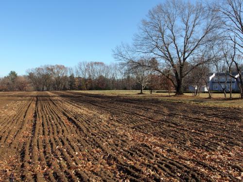 Peter Spring Farm Field beside the Reformatory Trail near Concord, Massachusetts
