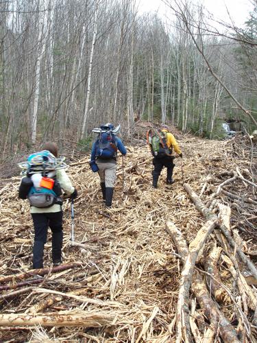 bushwhackers head up a skidder road on the way to Cave Mountain in New Hampshire
