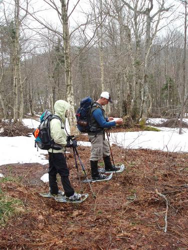 bushwhackers pause in waning snow cover on the way to Cave Mountain in New Hampshire