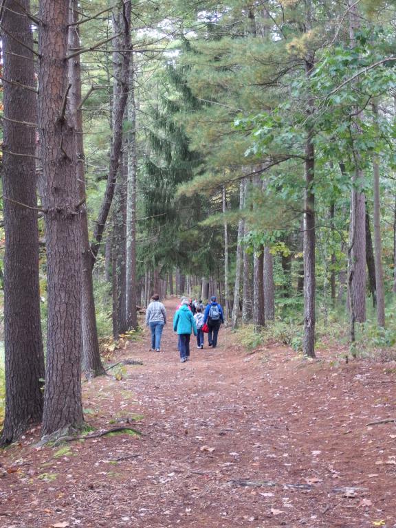 hiking group at J Harry Rich State Forest in northeastern Massachusetts