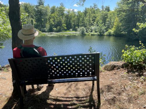 visitor's bench in August at Rideout Property in southern New Hampshire