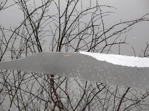 a sheet of shore ice has slipped mostly below water, interrupting the reflected view on the Nashua River at Rideout Property in southern New Hampshire