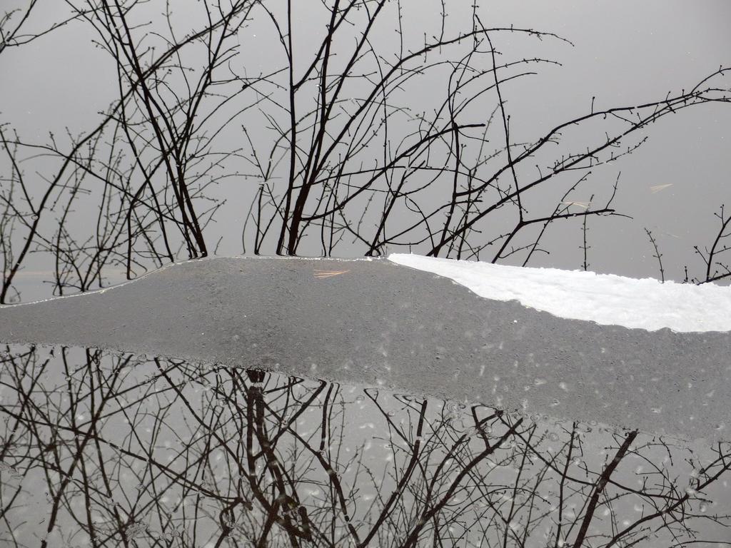 a sheet of shore ice has slipped mostly under water, interrupting the reflected view on the Nashua River at Rideout Property in southern New Hampshire