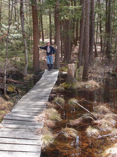 boardwalk on the trail to Rock Rimmon Hill in southeastern New Hampshire