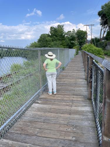 footbridge in June at Nashua Riverwalk in southern NH