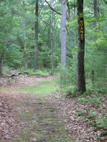 trail and sign at Rocky Woods in eastern Massachusetts