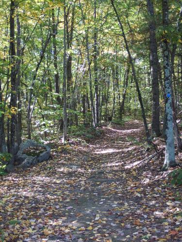 trail in October at Rocky Hill Wildlife Sanctuary in northeastern Massachusetts