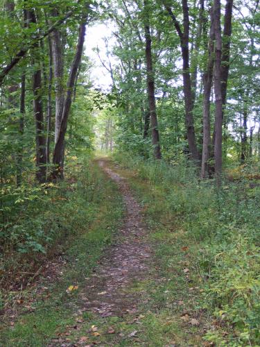 trail at Rough Meadows Wildlife Sanctuary in northeast Massachusetts