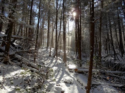 trail in December to Royalston Falls in northern Massachusetts