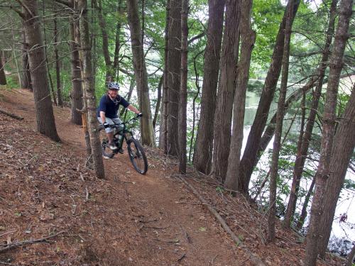 mountain biker at Russell Mill Pond and Town Forest in northeastern Massachusetts