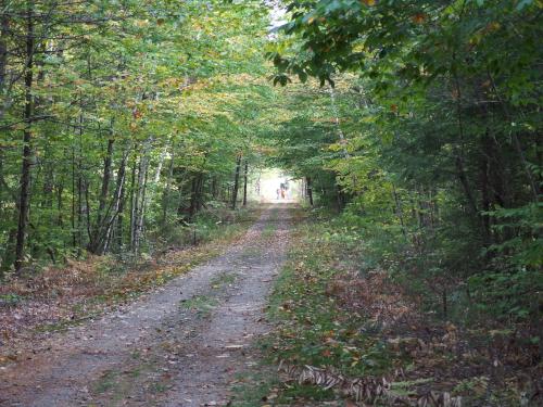 trail and hikers at Russell Abbott State Forest in southern New Hampshire