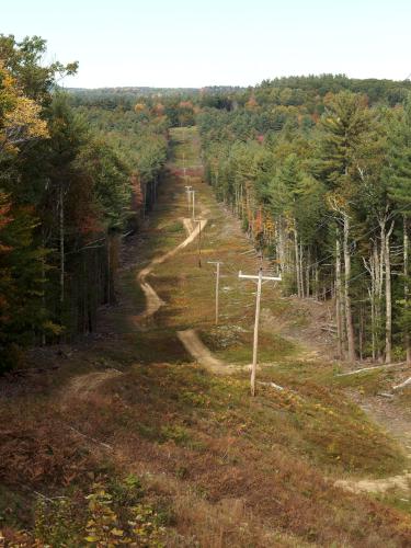 powerline swath at Russell Abbott State Forest in southern New Hampshire