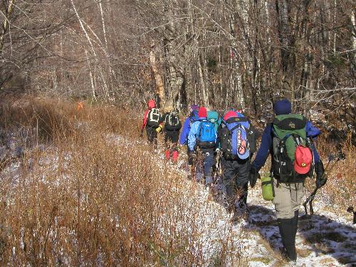 bushwhackers head into the woods on the Slippery Brook Trail on the way to Sable Mountain in New Hampshire