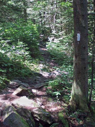 Appalachian Trail to Saddle Ball Mountain in western Massachusetts