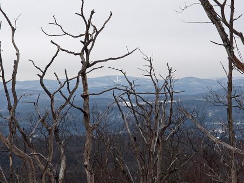 view through dead trees from Sams Hill in southwestern New Hampshire