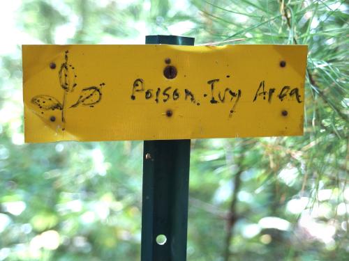 poison ivy sign at Saunders Pasture Conservation Area in southern New Hampshire