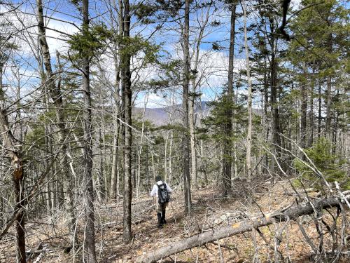 bushwhacking in April to Sawyer Hill in southern New Hampshire