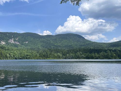 view of Mount Tremont in July at Sawyer Ponds in central NH