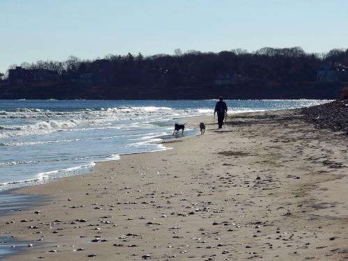 dog walker on Scarborough Beach in November
