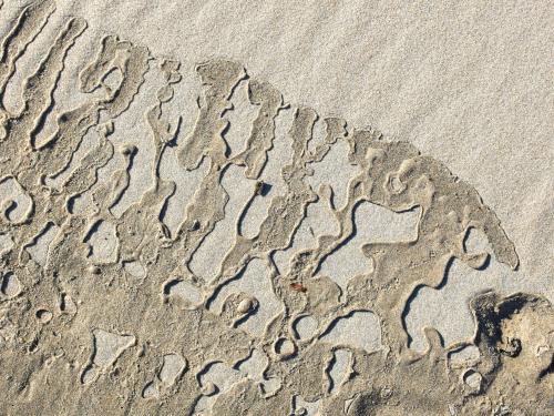 sand pattern caused by surf waves in November at Scarborough Beach near Portland Maine