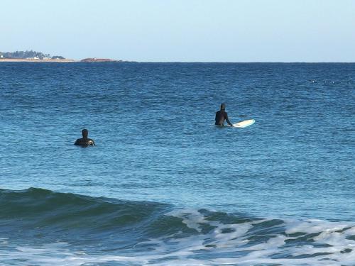 surfers in November at Scarborough Beach