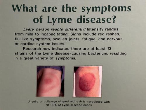 Lyme disease poster at Squam Lakes Natural Science Center