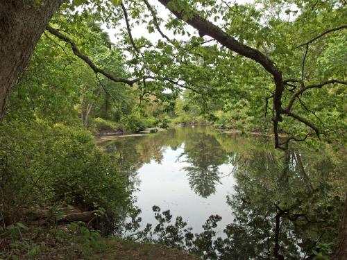Charles River in May at Shattuck Reservation in eastern Massachusetts