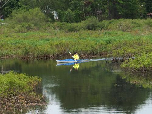 kayaker in May at Shattuck Reservation in eastern Massachusetts