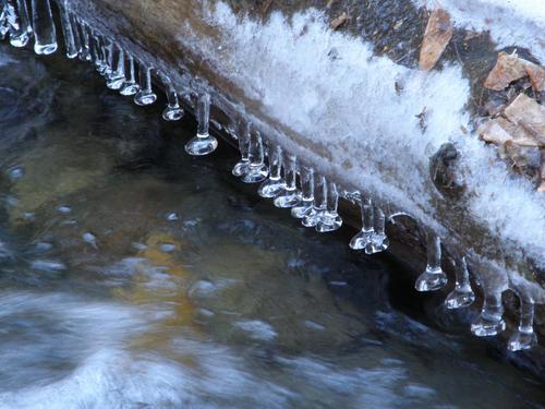 icicle dribbles along the Mount Shaw Trail in New Hampshire