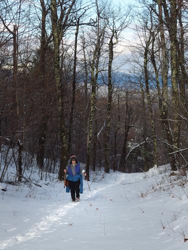 Elaine heads up the Sheridan Woods Trail toward the southeast peak of Red Hill near Squam Lake in New Hampshire