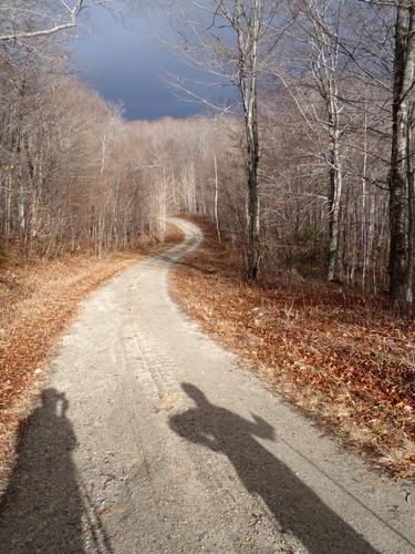 bushwhackers on the way to Signal Mountain in Vermont