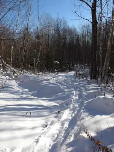 snowshoe tracks to Signal Mountain in western New Hampshire