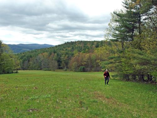 John hikes up in May through the field to Signal Hill in western New Hampshire