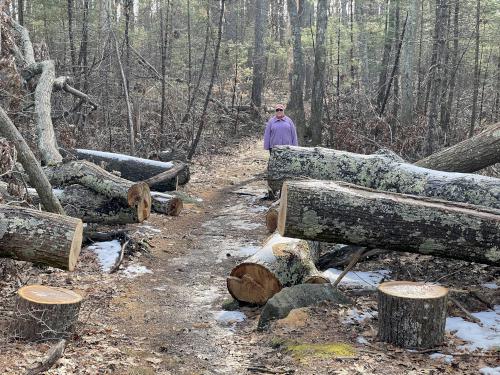trail clearing in February at Skug River Reservation in northeast MA