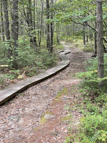 bike-friendly trail in August at Smith Preserve near Kennebunkport in southern Maine