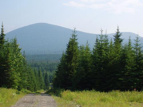 view of Snow Mountain in July in Maine from the access road