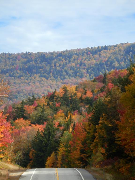 Fall color surrounds the road on the way to Snows Mountain in New Hampshire