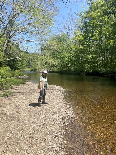 Andee in May on the Souhegan River Trail in southern New Hampshire